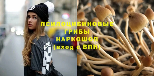 гидропоника Михайлов