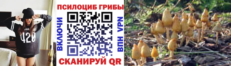 Псилоцибиновые грибы GOLDEN TEACHER  Поворино 